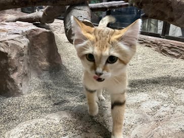 那須どうぶつ王国に投稿された画像（2022/11/6）