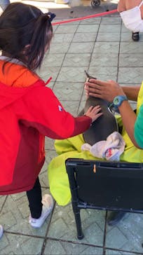 南知多ビーチランド＆南知多おもちゃ王国に投稿された画像（2022/11/6）