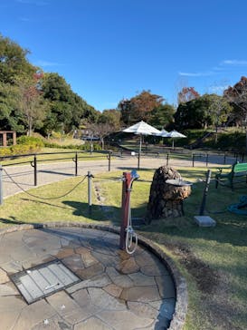 安城産業文化公園デンパークに投稿された画像（2022/11/6）