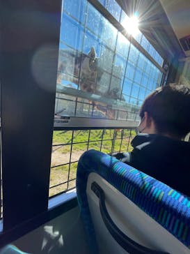 那須サファリパークに投稿された画像（2022/11/6）