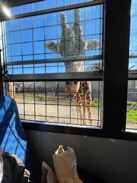 那須サファリパークに投稿された画像（2022/11/6）