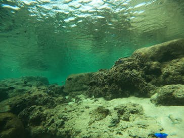 沖縄マリンサービス碧に投稿された画像（2022/11/6）