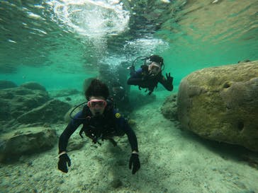 沖縄マリンサービス碧に投稿された画像（2022/11/6）