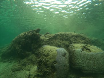 沖縄マリンサービス碧に投稿された画像（2022/11/6）