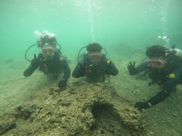 沖縄マリンサービス碧に投稿された画像（2022/11/6）