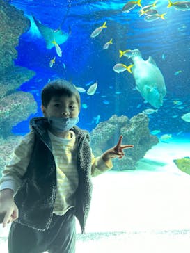 サンシャイン水族館に投稿された画像（2022/11/6）
