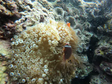 武藤潜水に投稿された画像（2022/11/6）