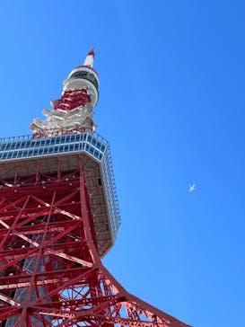 東京タワーに投稿された画像（2022/11/6）