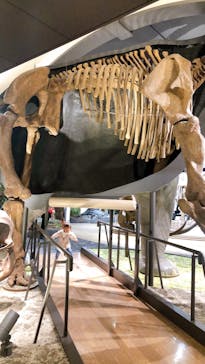 滋賀県立琵琶湖博物館に投稿された画像（2022/11/6）