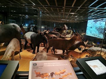 国立科学博物館に投稿された画像（2022/11/6）