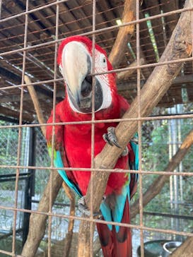 しろとり動物園に投稿された画像（2022/11/6）