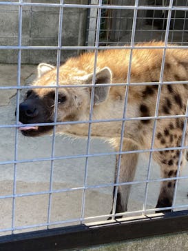 しろとり動物園に投稿された画像（2022/11/6）
