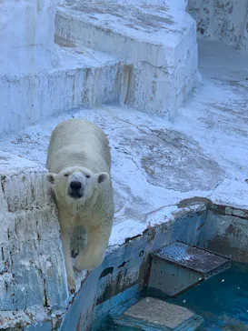 天王寺動物園に投稿された画像（2022/11/6）