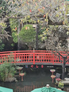 浅草花やしきに投稿された画像（2022/11/6）