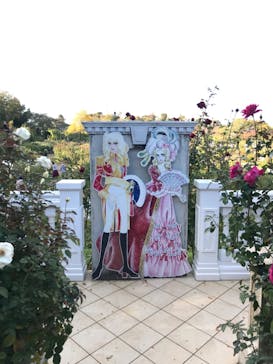 京成バラ園に投稿された画像（2022/11/6）