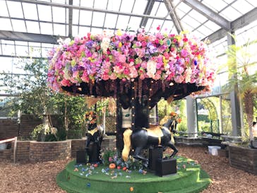 京成バラ園に投稿された画像（2022/11/6）