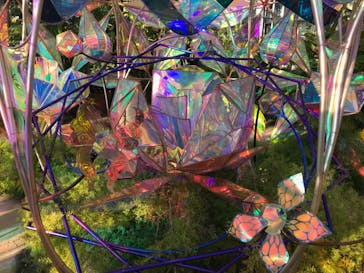 京成バラ園に投稿された画像（2022/11/6）