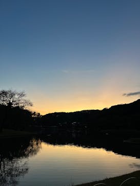 三溪園に投稿された画像（2022/11/6）