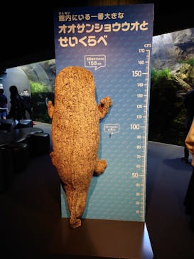 京都水族館に投稿された画像（2022/11/6）