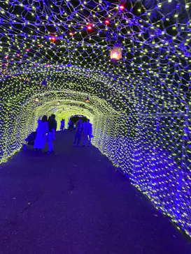 ひらかたパークに投稿された画像（2022/11/6）