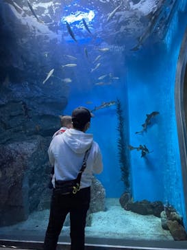 名古屋港水族館に投稿された画像（2022/11/6）