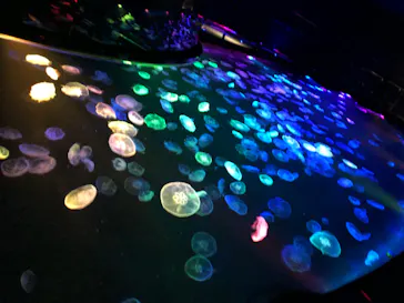 すみだ水族館に投稿された画像（2022/11/6）