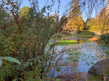 京成バラ園に投稿された画像（2022/11/6）