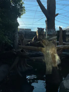 神戸どうぶつ王国に投稿された画像（2022/11/6）