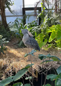 神戸どうぶつ王国に投稿された画像（2022/11/6）