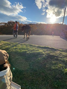 那須どうぶつ王国に投稿された画像（2022/11/6）