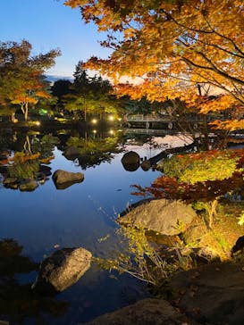 国営昭和記念公園 秋の夜散歩に投稿された画像（2022/11/6）