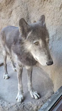 神戸どうぶつ王国に投稿された画像（2022/11/6）