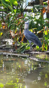 神戸どうぶつ王国に投稿された画像（2022/11/6）