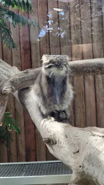 神戸どうぶつ王国に投稿された画像（2022/11/6）