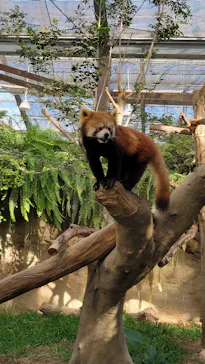 神戸どうぶつ王国に投稿された画像（2022/11/6）