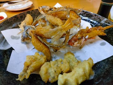 沖縄海うさぎ・海あしびに投稿された画像（2022/11/6）