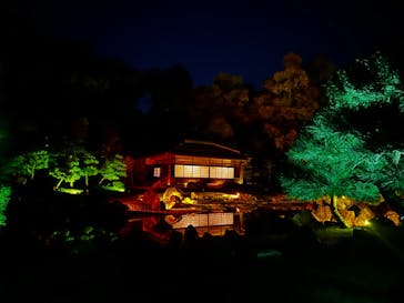 NAKED FLOWERS 2022 秋 世界遺産・二条城に投稿された画像（2022/11/6）