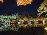 国営昭和記念公園 秋の夜散歩に投稿された画像（2022/11/6）