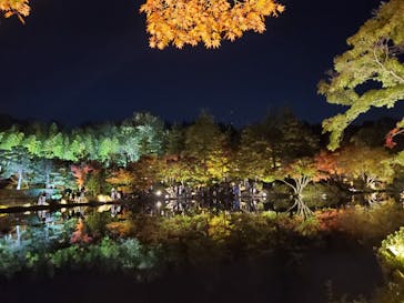国営昭和記念公園 秋の夜散歩に投稿された画像（2022/11/6）