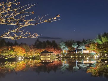 国営昭和記念公園 秋の夜散歩に投稿された画像（2022/11/6）