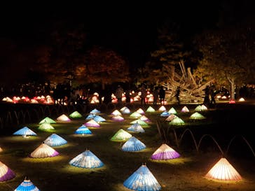 国営昭和記念公園 秋の夜散歩に投稿された画像（2022/11/6）