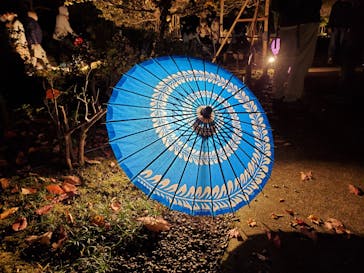 国営昭和記念公園 秋の夜散歩に投稿された画像（2022/11/6）