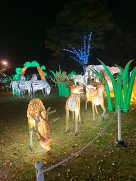 東武動物公園に投稿された画像（2022/11/6）