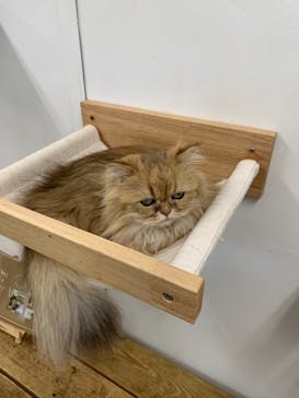 東武動物公園に投稿された画像（2022/11/6）