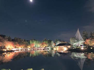 国営昭和記念公園 秋の夜散歩に投稿された画像（2022/11/6）