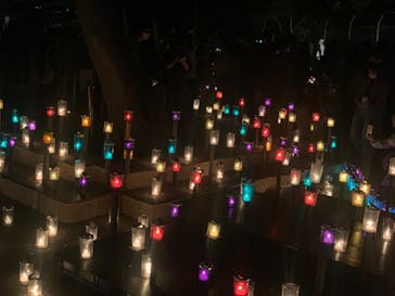 江の島シーキャンドルに投稿された画像（2022/11/6）