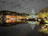 国営昭和記念公園 秋の夜散歩に投稿された画像（2022/11/6）