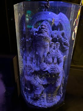 UWSアクアリウム　UNDER WATER SPACEに投稿された画像（2022/11/6）