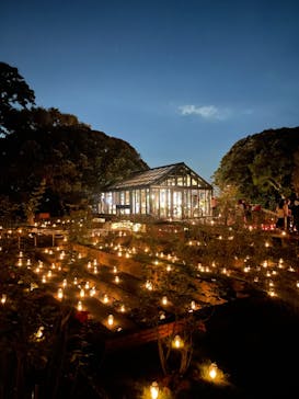 江の島シーキャンドルに投稿された画像（2022/11/6）