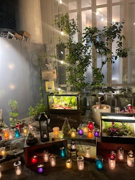 江の島シーキャンドルに投稿された画像（2022/11/6）